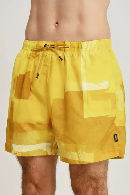Плавки-шорты Zegna N7B541970 738