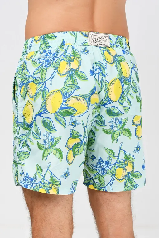 Пляжные шорты Guess F2GT22WO05Y P20M