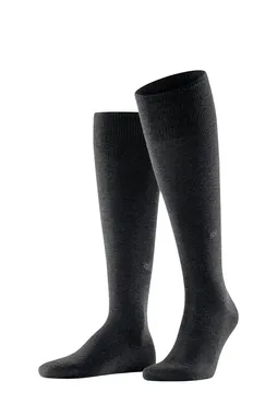 Burlington 21777 3180 asphalt mel.