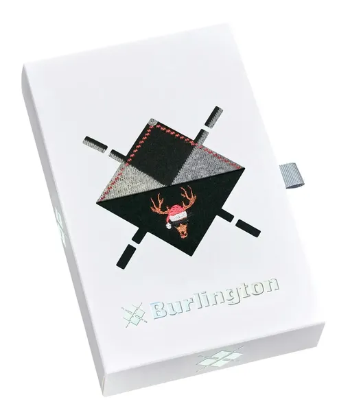Носки Burlington 20676 0060 sortiment