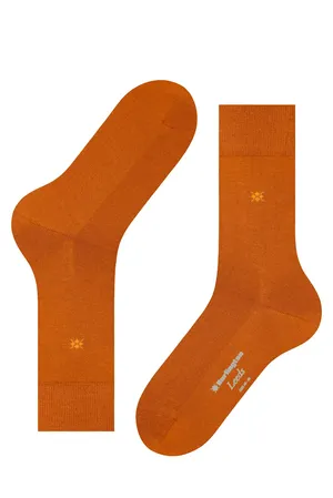 Burlington 21077 8415 blush