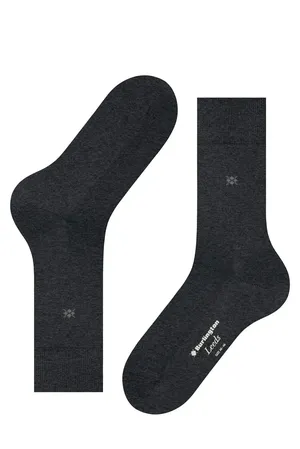 Burlington 21077 3180 asphalt mel.