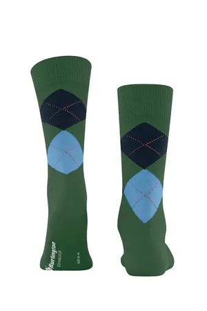 Burlington 21125 7045 asparagus