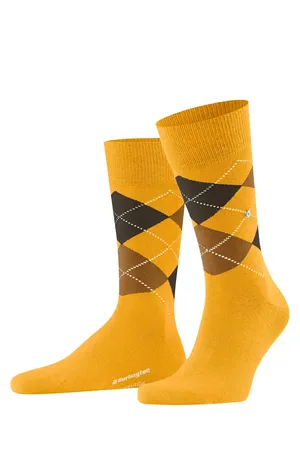 Burlington 21125 1314 solar