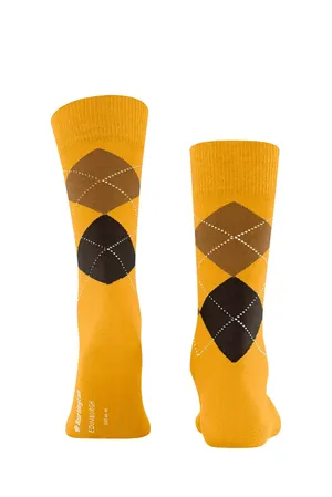 Burlington 21125 1314 solar