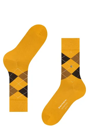 Burlington 21125 1314 solar