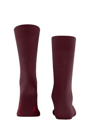 Burlington 21405 8375 claret