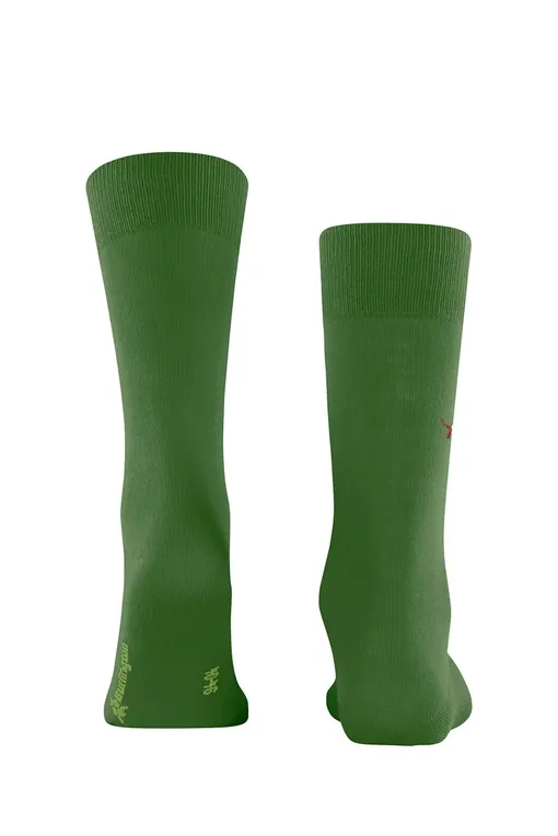 Носки Burlington 21405 7656 fir green