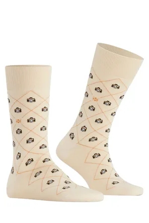 Burlington 24742 4077 zement