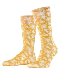 Burlington 24761 1334 corn