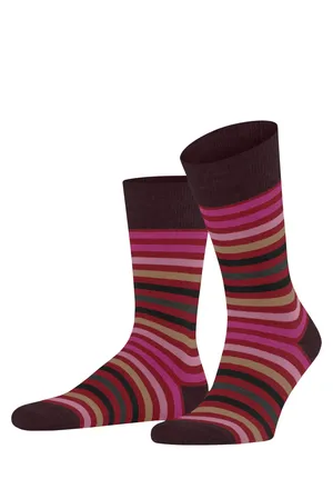 Falke 13279 8077 ingle