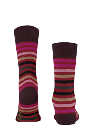 Falke 13279 8077 ingle