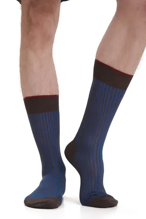 GALLO AP106209 30178_CACAO/FRANCESE