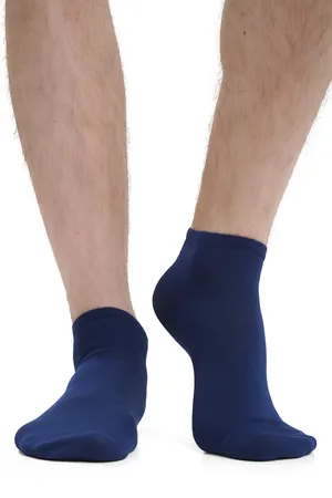 GALLO AP113530 [4003]-ROYAL