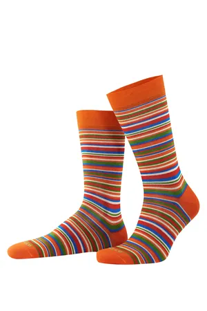 GALLO AP515739 32593_ZUCCA/CORDA