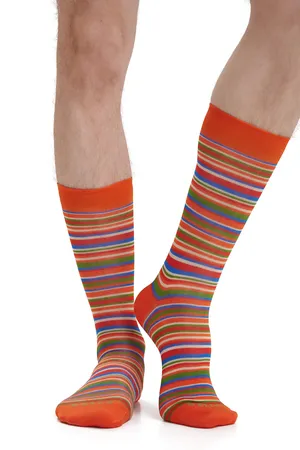 GALLO AP515739 32593_ZUCCA/CORDA