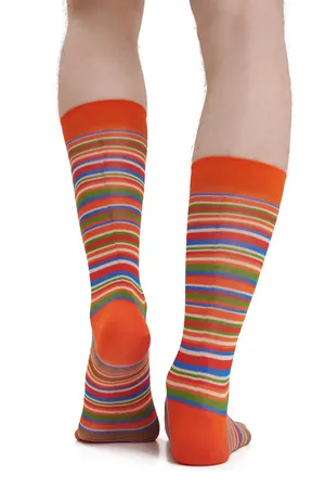 GALLO AP515739 32593_ZUCCA/CORDA