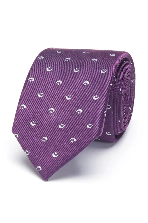 Галстуки Camicissima CRFANGPCG020774 VIOLET