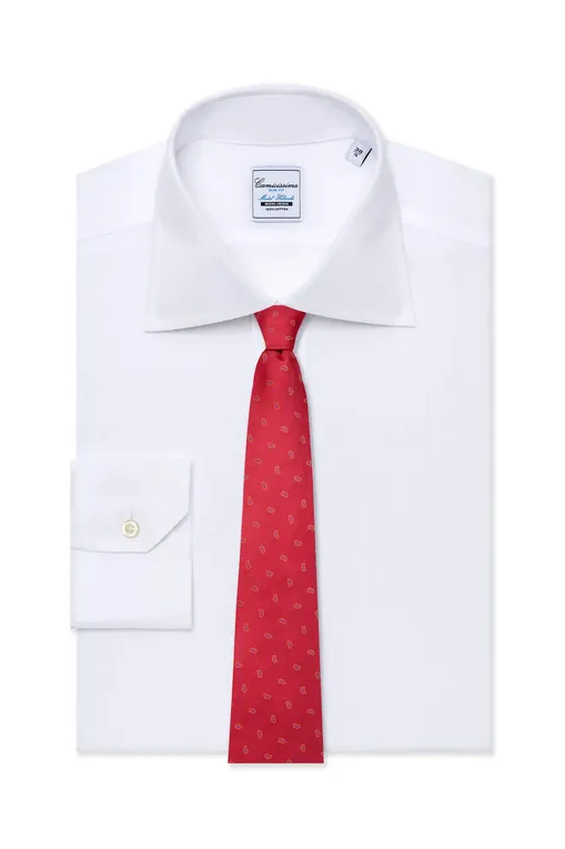 Галстуки Camicissima CRFANLPCG025042 RED