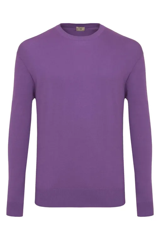 Джемперы Camicissima CPMCGKPBG0SW139 VIOLET