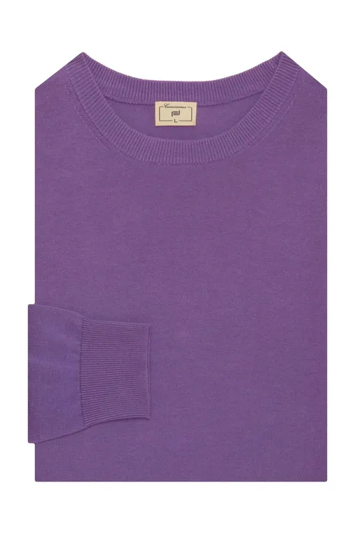 Джемперы Camicissima CPMCGKPBG0SW139 VIOLET