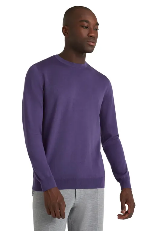 Джемперы Falke 60910 8146 grape