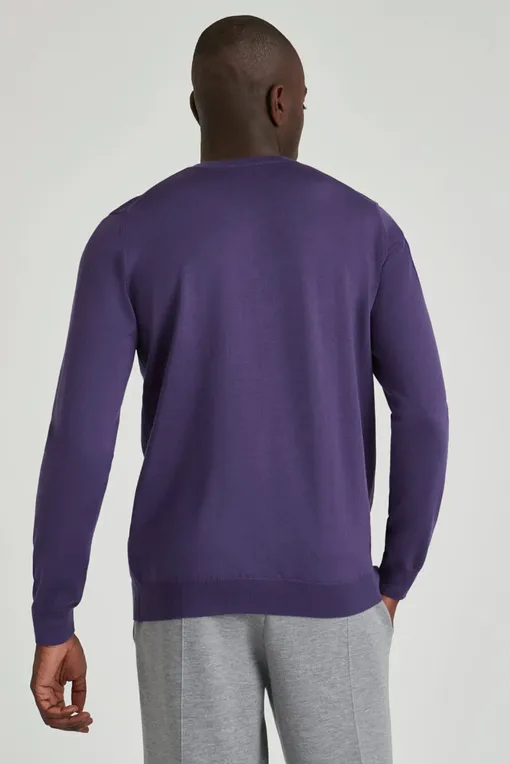 Джемперы Falke 60910 8146 grape