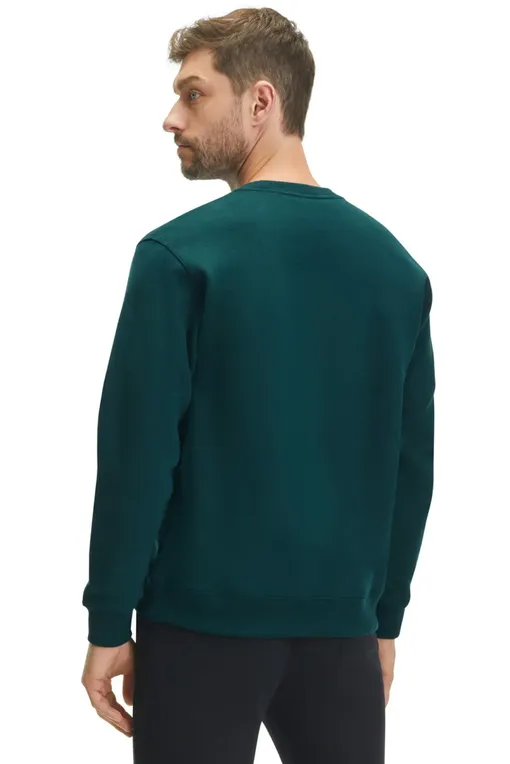 Джемперы Falke 62110 7385 holly