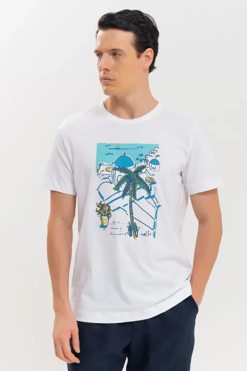 Футболки BLUEMINT RICCI PRINTED 1026 SIMI ISLAND