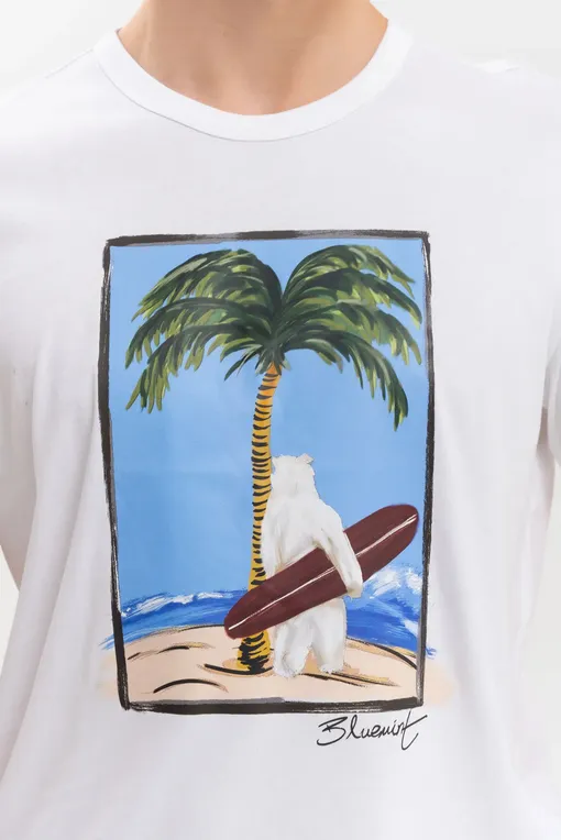 Футболки BLUEMINT RICCI PRINTED 1027 SOUL SURFER