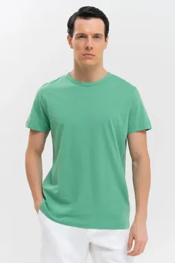 BLUEMINT RICCI 938 STEM