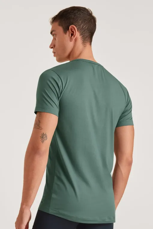 Футболки Calida 14048 549 dark glen