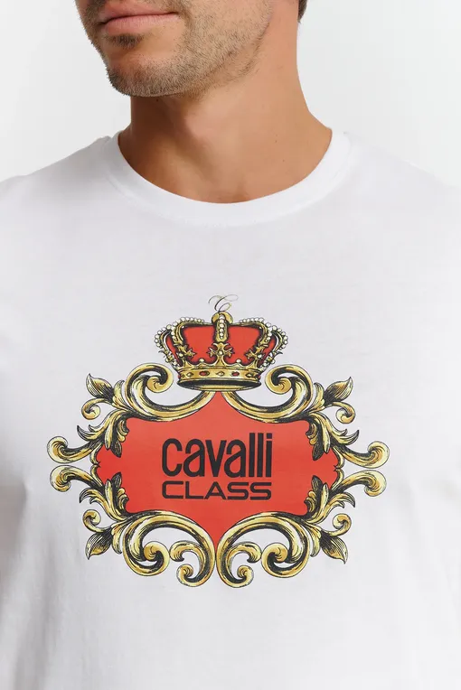Футболки Cavalli Class CLL2MTS02 00053
