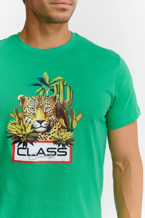 Футболки Cavalli Class CLL2MTS04 04000