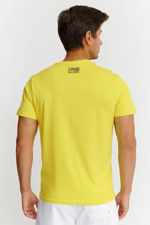 Футболки Cavalli Class CLL2MTS04 01000