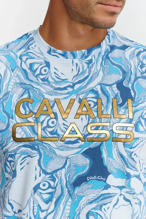 Футболки Cavalli Class CLL2MTS05 05048