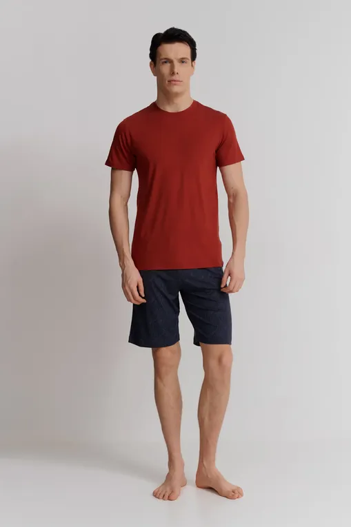 Футболки Derek Rose 3048-BASE 018red