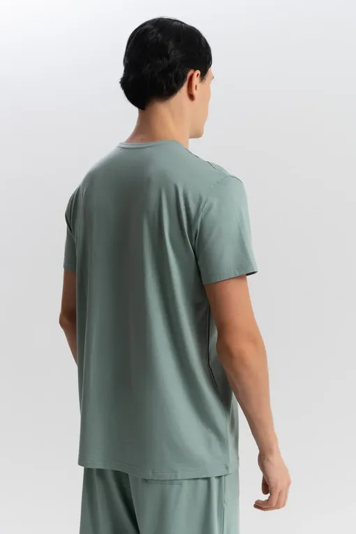 Футболки Derek Rose 3048-BASE 019gre