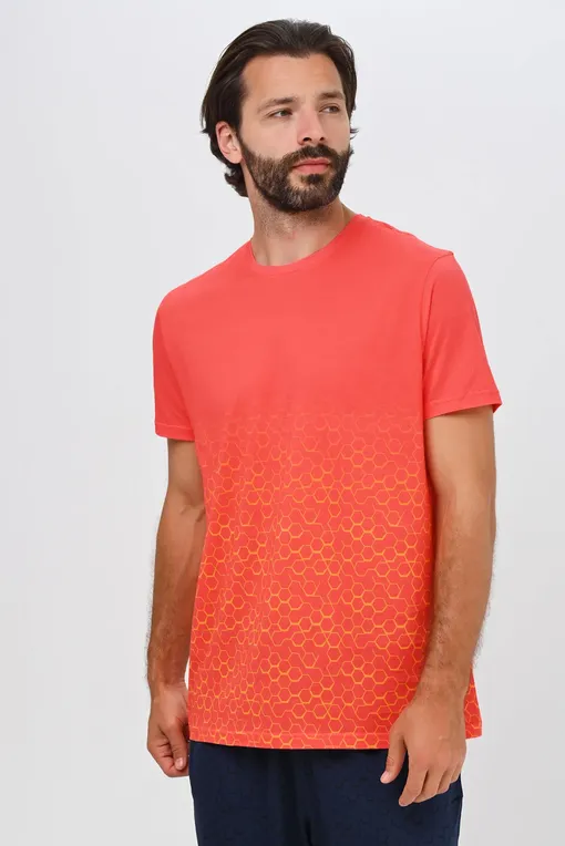 Футболки Derek Rose 3054-ROBI 009MUL