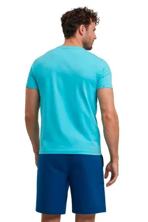 Falke Ess 38734 6206 turquoise