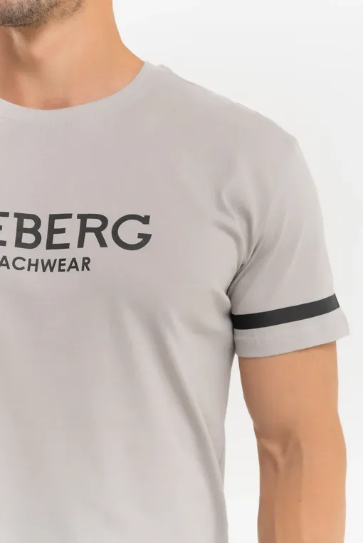 Футболки Iceberg ICE4MTS02 Stone
