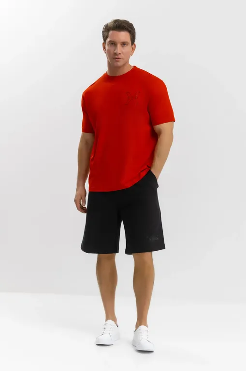 Футболки RICHMOND X UMP25114TS RED RISK