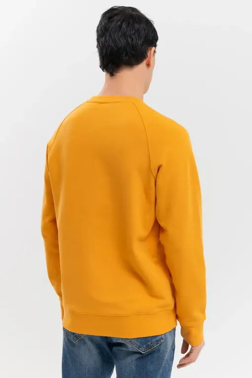 Толстовки BLUEMINT RAPHAEL 132 ORANGE