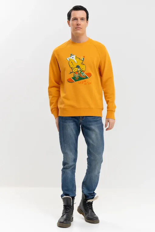 Толстовки BLUEMINT RAPHAEL 132 ORANGE