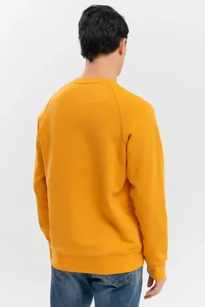 BLUEMINT RAPHAEL 132 ORANGE