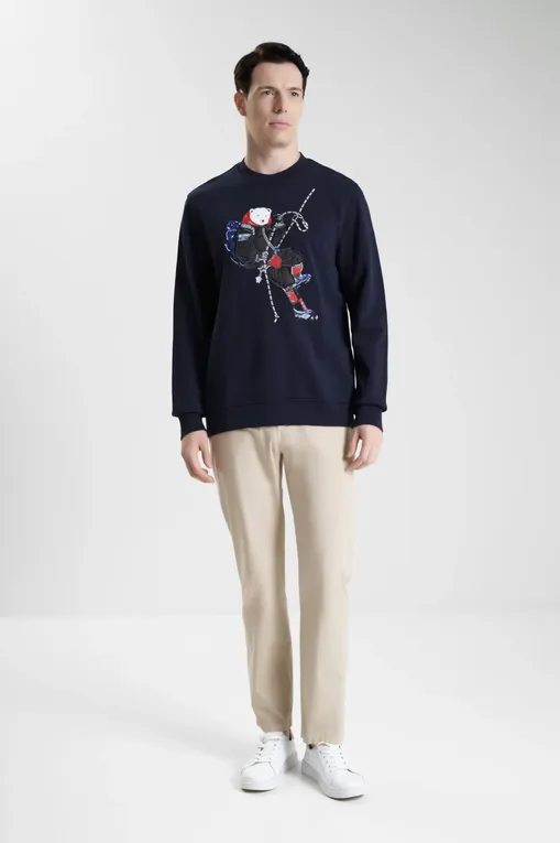 Толстовки BLUEMINT RAPHAEL 1107 SUMMIT DARK NAVY