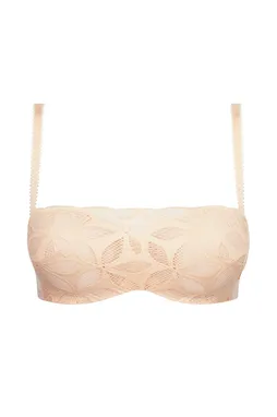 Antigel ECH5617 STRICTO PECHE