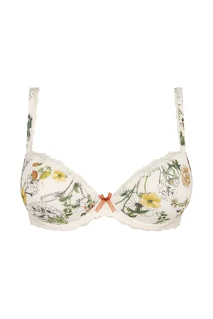 Antigel ECH8064 FLEUR DU MATIN