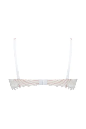 Antigel ECH8068 ROSE DE JOUY