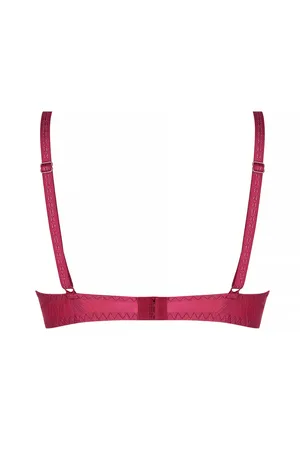 Antigel ECJ8022 Or Cerise